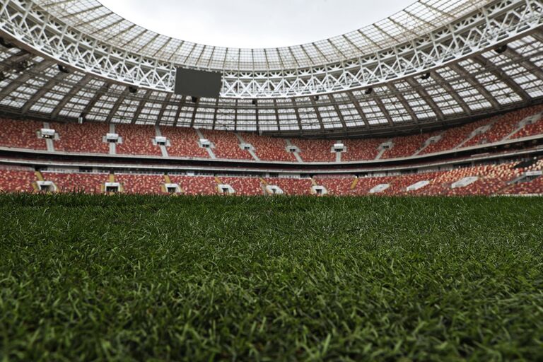 Поле на Большой спортивной арене Лужники в Москве