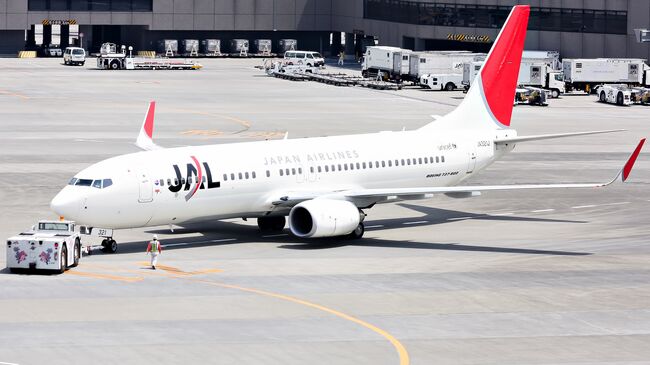 Самолет японской авиакомпании JAL. Архивное фото