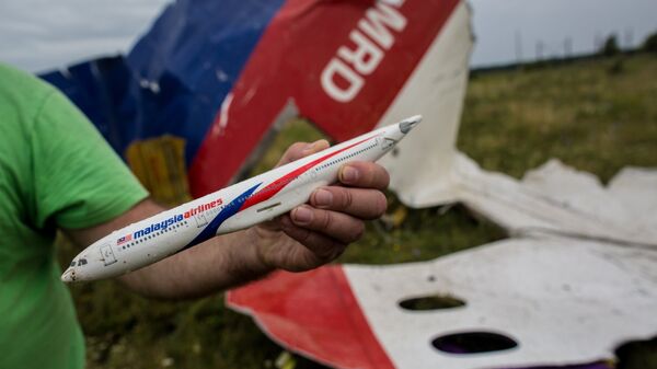 Место крушения лайнера Boeing 777 Малайзийских авиалиний в районе города Шахтерск Донецкой области