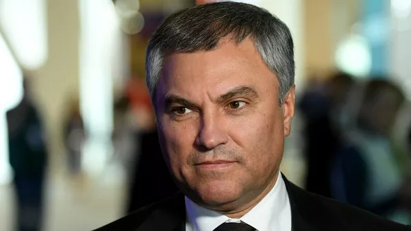 Председатель Госдумы Вячеслав Володин. Архивное фото