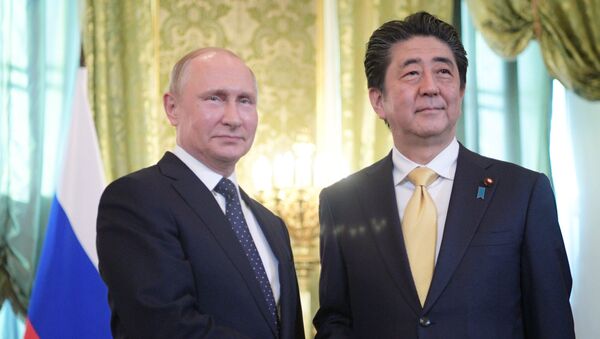 Президент РФ Владимир Путин и премьер-министр Японии Синдзо Абэ во время встречи. 26 мая 2018
