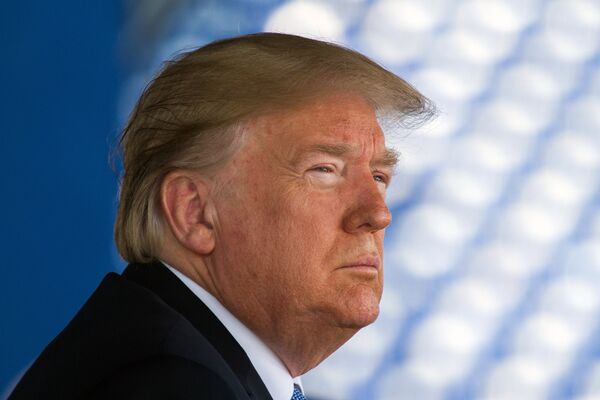 Президент США Дональд Трамп Президент США Дональд Трамп