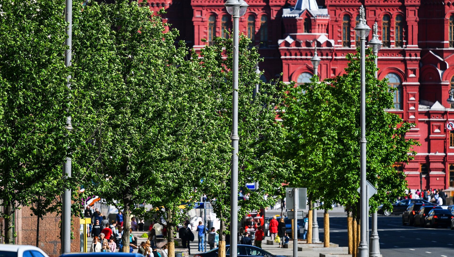 Липы на Тверской улице в Москве - РИА Новости, 1920, 29.05.2018