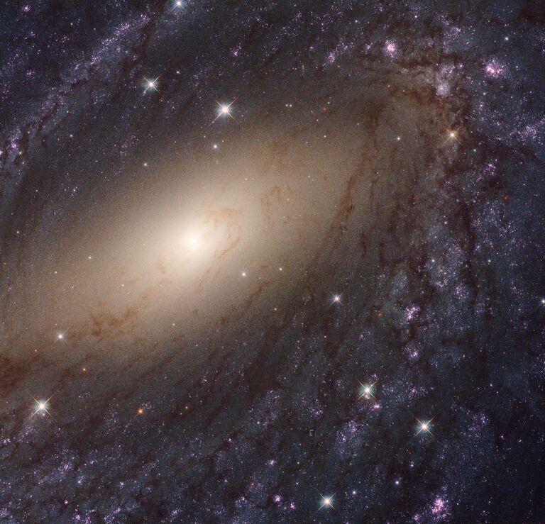 Галактика NGC 6744 в созвездии Павлин