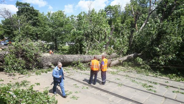 Устранение последствий падения дерева на трамвайную линию электропередач на набережной Академика Туполева в Москве. 30 мая 2018