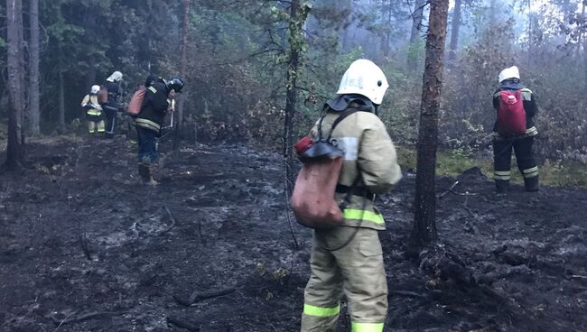 Пожар в парке Монрепо