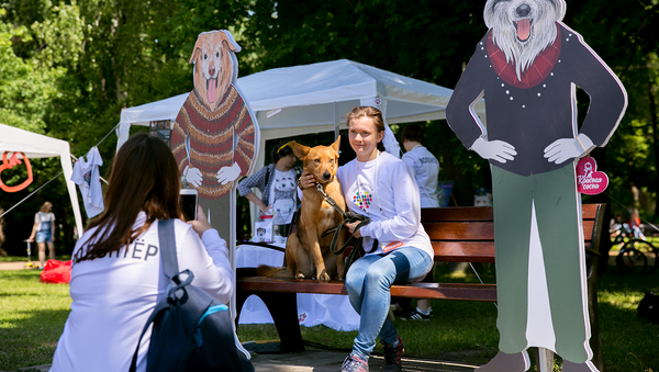 Участники и гости Большого фестиваля добровольцев в Сокольниках