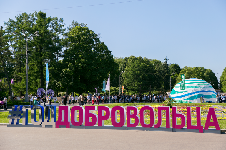 Участники и гости Большого фестиваля добровольцев в Сокольниках