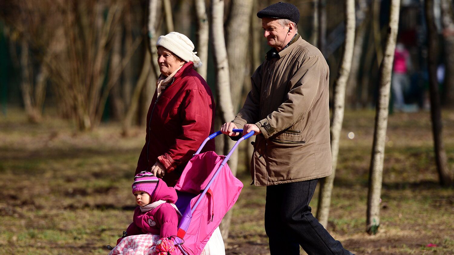 Комплект для составления «родословной здоровья» выложен в открытом доступе - РИА Новости, 1920, 06.10.2020