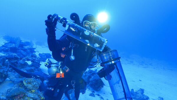 Ученый собирает образцы рифовых рыб, живущих на большой глубине