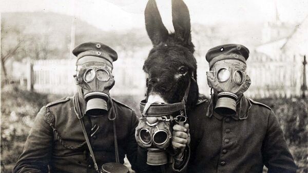 Немецкие солдаты с мулом в противогазах во время Первой Мировой войны