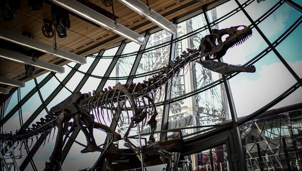 Скелет динозавра возрастом 150 млн. лет выставленный на аукцион в Эйфелевой башне в Париже. 2 июня 2018
