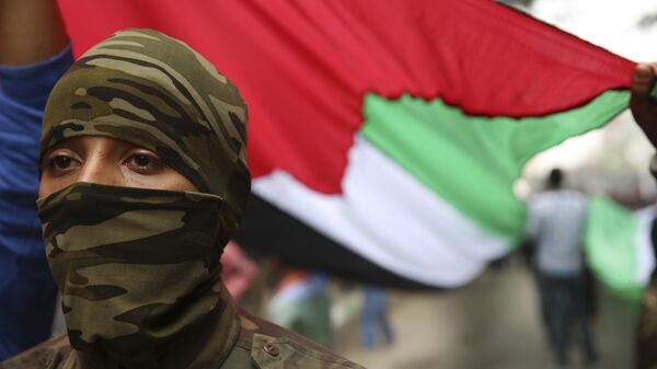 Боец в маске под флагом Палестины