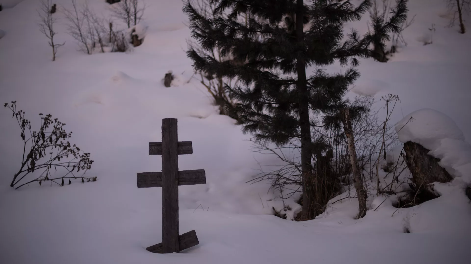 Крест на могиле - РИА Новости, 1920, 29.01.2022
