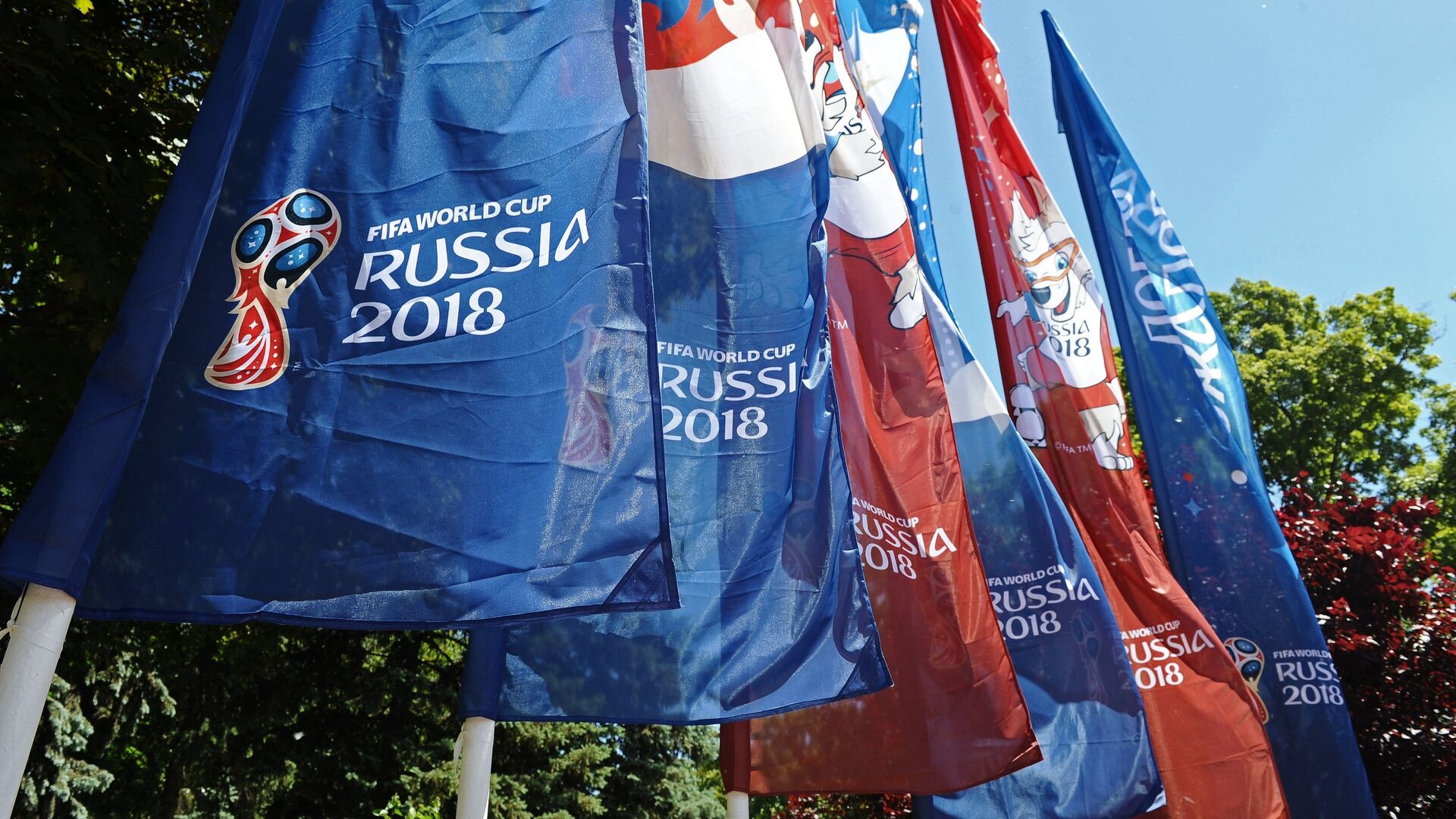 Флаги, посвященные чемпионату мира по футболу ФИФА-2018 - РИА Новости, 1920, 29.11.2022
