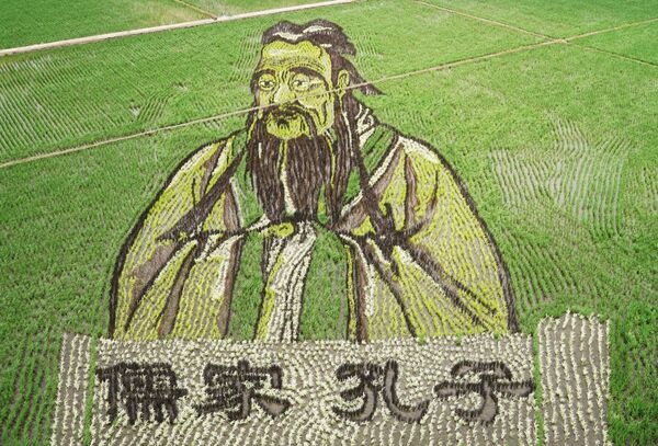 Изображение Конфуция, сделанное в поле с использованием различных сортов риса