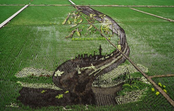 Изображение с надписью Удивительный Китай, сделанное в поле с использованием различных сортов риса