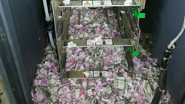 Индийские крысы съели более 1 млн рупий в банкомате