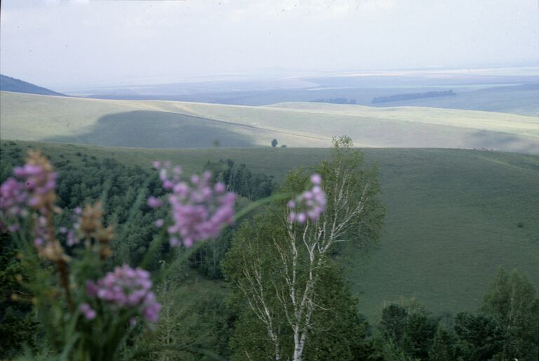 Окрестности курорта Белокуриха