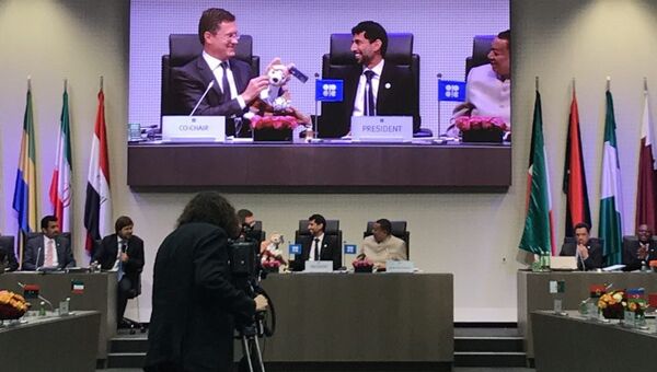 Министр энергетики России Александр Новак на четвертой министерской встрече стран ОПЕК и не входящих в ОПЕК. 23 июня 2018