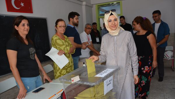 Голосование на досрочных президентских и парламентских выборах, Турция. Архивное фото