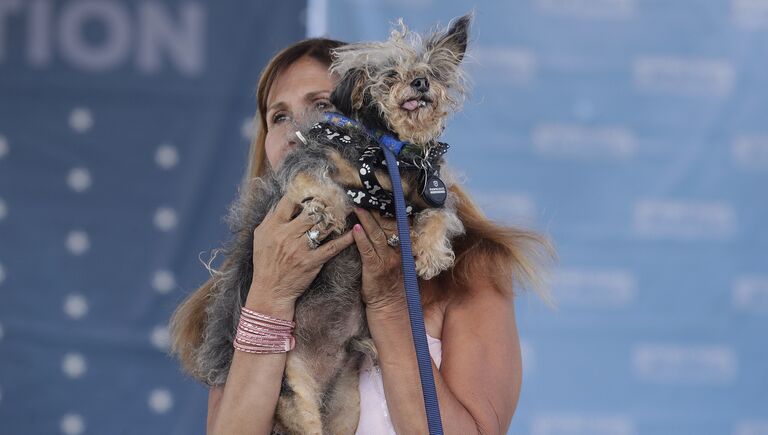 Собака на конкурсе Самая уродливая собака в мире(World's Ugliest Dog)