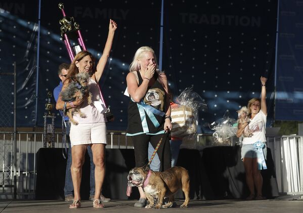 Конкурс Самая уродливая собака в мире(World's Ugliest Dog)