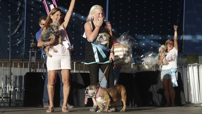 Конкурс Самая уродливая собака в мире(World's Ugliest Dog)