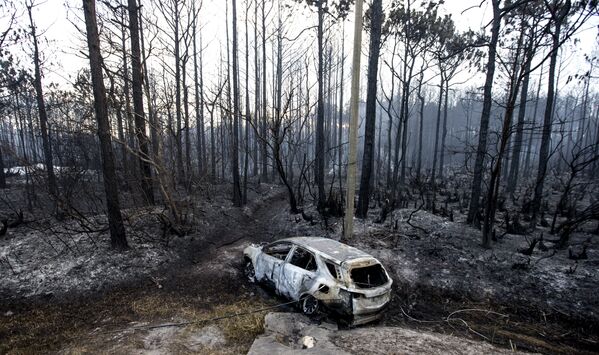 Автомобиль, сгоревший во время лесных пожаров во Флориде, США