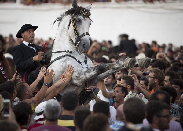 Всадник ставит лошадь на дыбы на фестивале Сан Хуан в городке Сьютаделла, Менорка, Испания