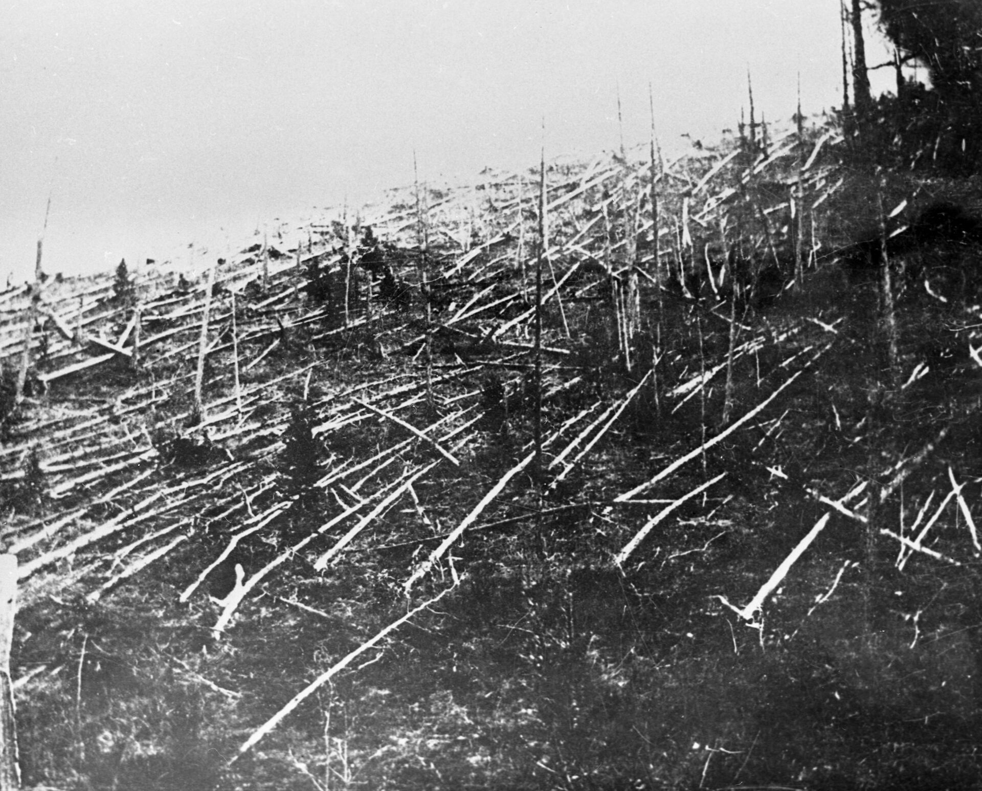 Эвенский автономный округ Красноярского края. Так выглядела тайга в 1927 году, когда ученые добрались до места падения - РИА Новости, 1920, 25.01.2023