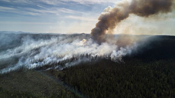 Лесные пожары Бурятии. Архивное фото