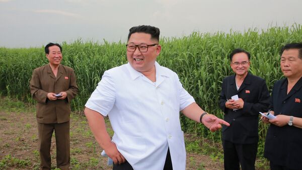 Лидер Северной Кореи Ким Чен Ун инспектирует хозяйство в уезде Синдо в провинции Северный Фионган, Северная Корея