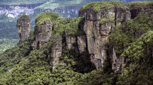 Крупнейший национальный парк Колумбии Чирибикете 