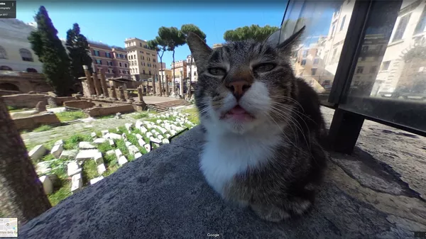 Кот на Google-панораме в Риме