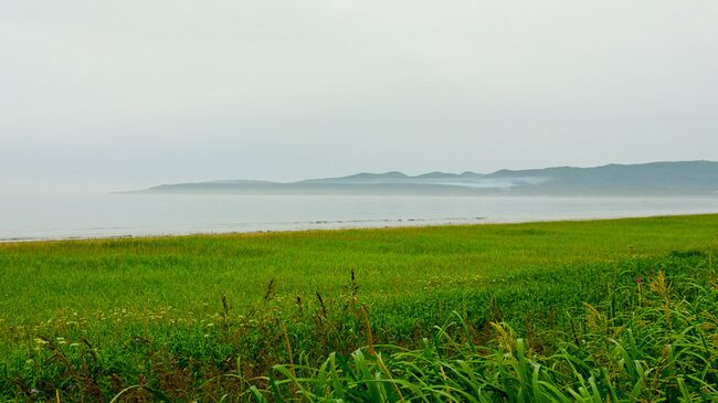 Охотское море. Архивное фото