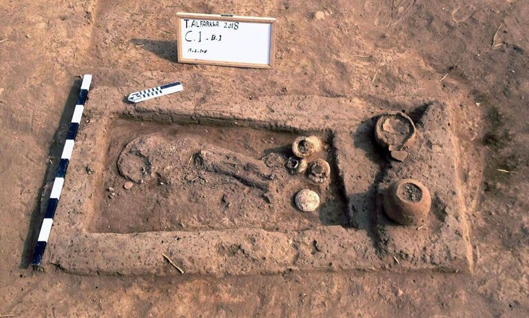 Артефакты, найденные в развалинах древнейшей пивоварни Земли в дельте Нила