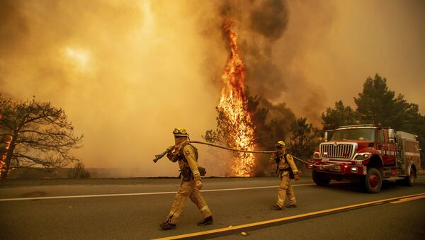 Пожарные тушат лесной пожар в штате Калифорния. Архивное фото
