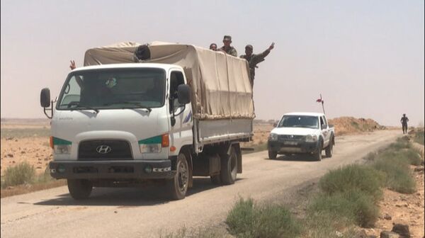 Сирийские войска вышли к границе с Иорданией. Архивное фото