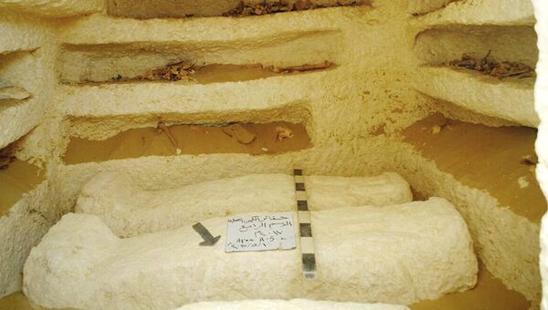 Археологические находки, обнаруженные в провинции эль-Минья, Египет. Архивное фото