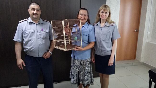 Возвращение хозяйке попугая, залетевшего на территорию Невьянской колонии в Свердловской области. 10 июля 2018