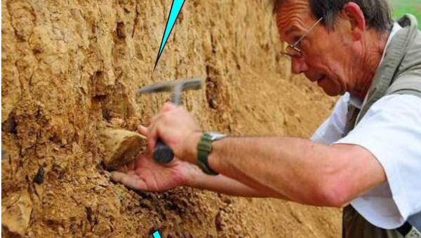 Ученый извлекает орудие труда из отложений песка