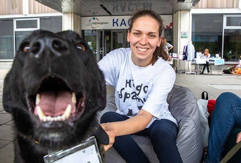 Фестиваль Собаки, которые любят в помощь животным из приютов Фестиваль Собаки, которые любят в помощь животным из приютов