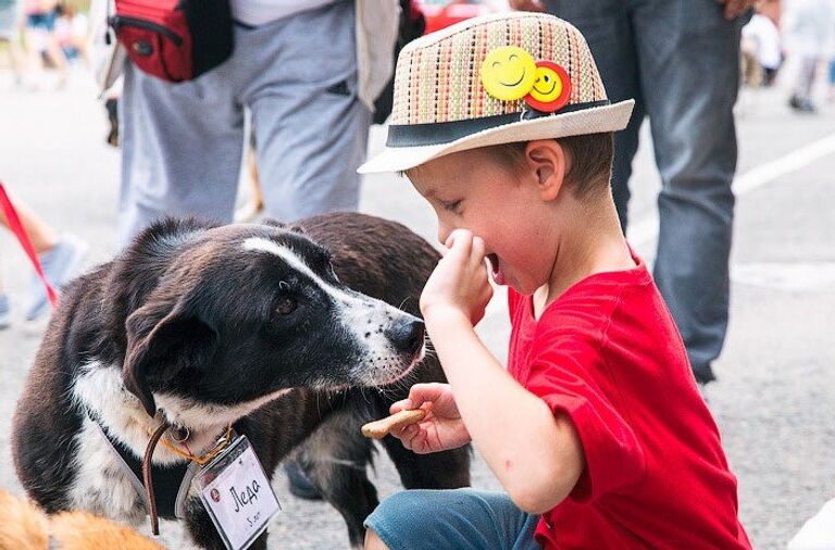 Фестиваль Собаки, которые любят в помощь животным из приютов Фестиваль Собаки, которые любят в помощь животным из приютов