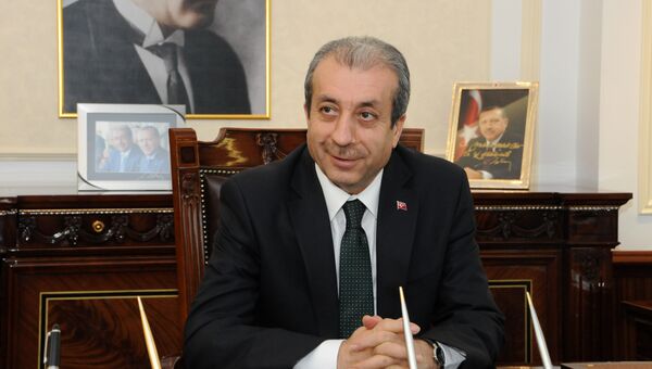 Заместитель председателя Партии справедливости и развития Турции по международным вопросам Мехди Экер. Архивное фото