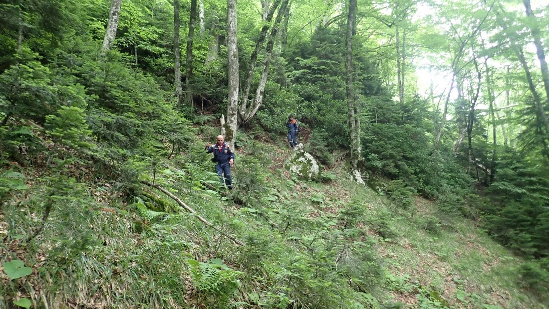 Спасатели ведут поиск пропавшего в горно-лесной местности 13-летнего подростка - РИА Новости, 1920, 23.06.2021