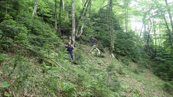 Спасатели ведут поиск пропавшего в горно-лесной местности 13-летнего подростка. 13 июля 2018