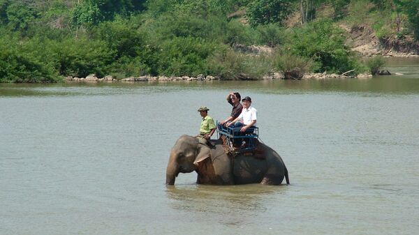 Туристы катаются на слоне в парке Йок Дон, Вьетнам
