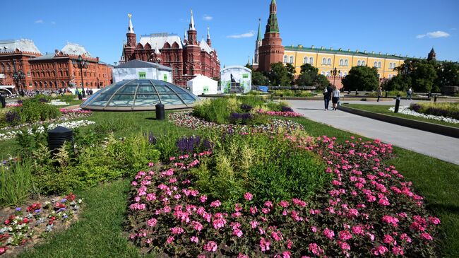 Цветник на Манежной площадь в Москве