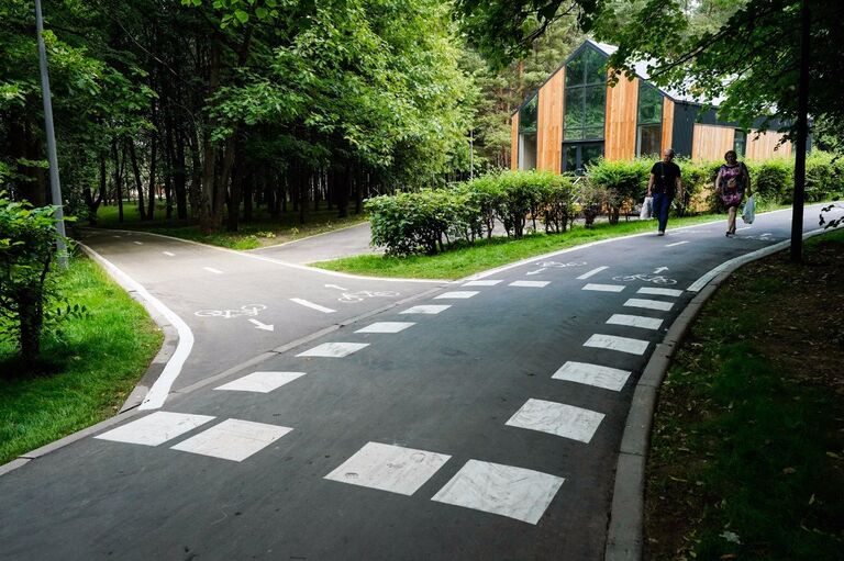 В парке прошли масштабные работы по озеленению В парке прошли масштабные работы по озеленению
